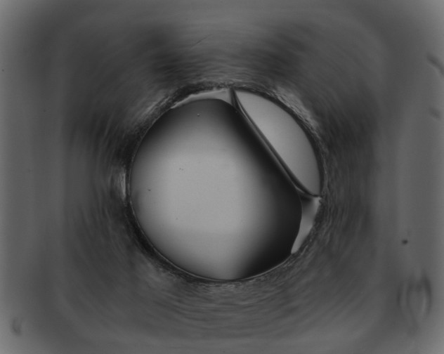 X0000091720021200709071446