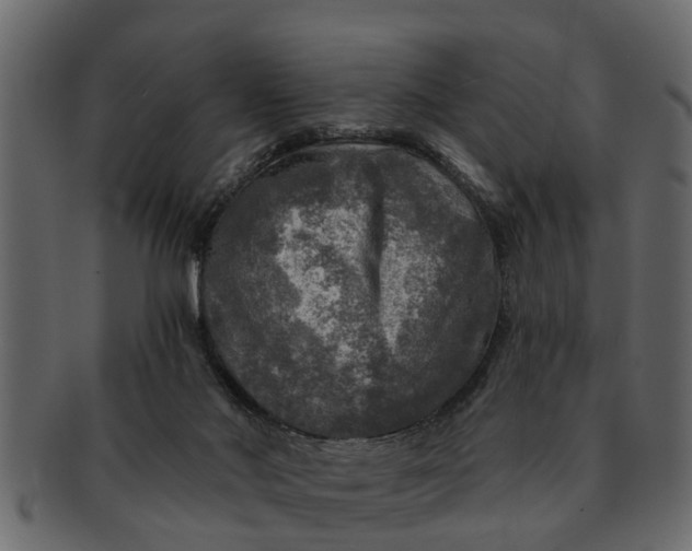 X0000091720022200709071446