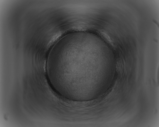 X0000091720023200709071446