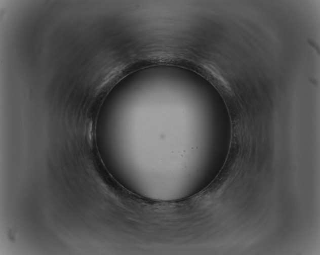 X0000091720024200709071446