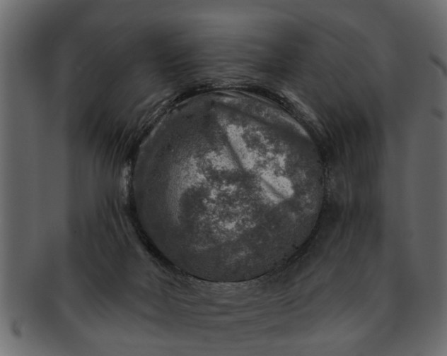 X0000091720026200709071446