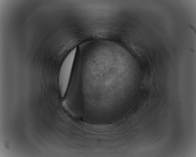 X0000091720027200709071446