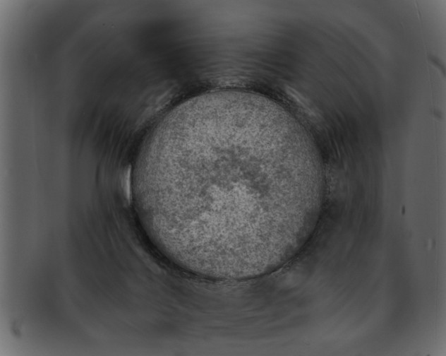 X0000091720028200709071446