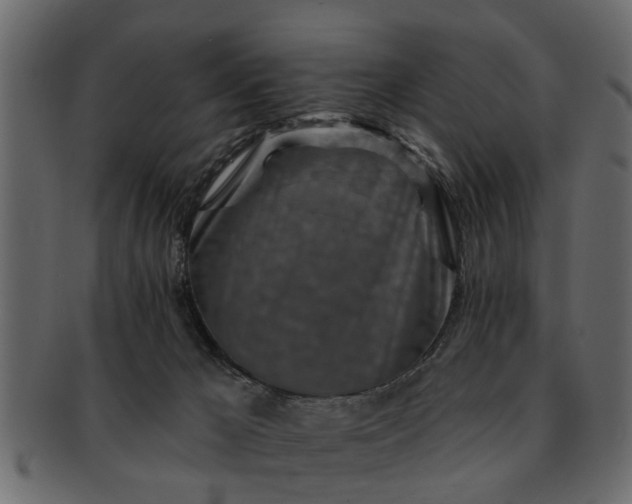 X0000091720029200709071446