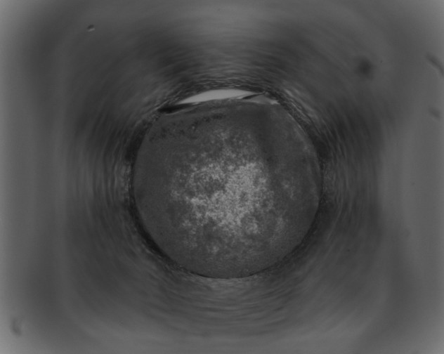 X0000091720030200709071446