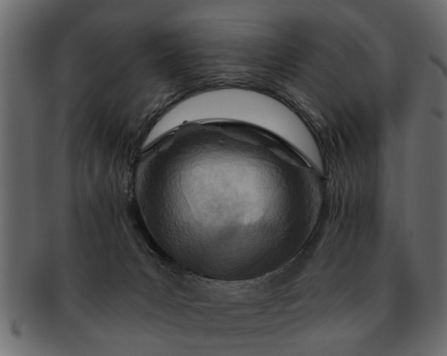 X0000091720031200709071446