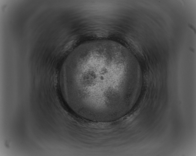 X0000091720032200709071446