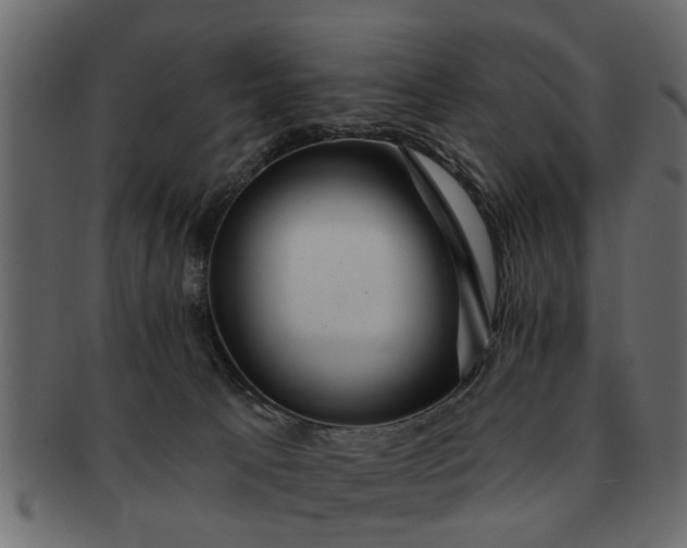 X0000091720033200709071446