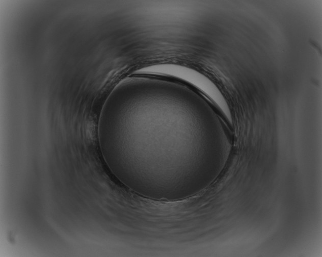 X0000091720035200709071446