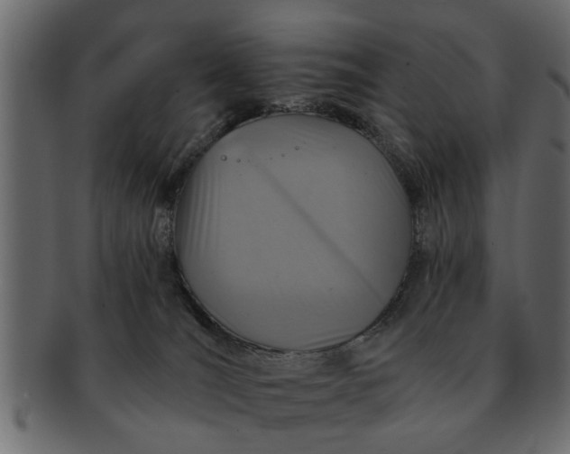 X0000091720036200709071446