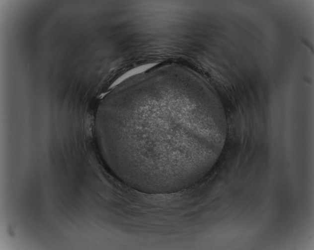 X0000091720038200709071446