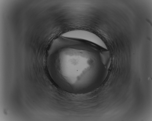 X0000091720039200709071446