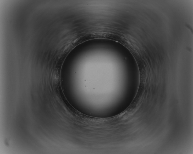 X0000091720040200709071446