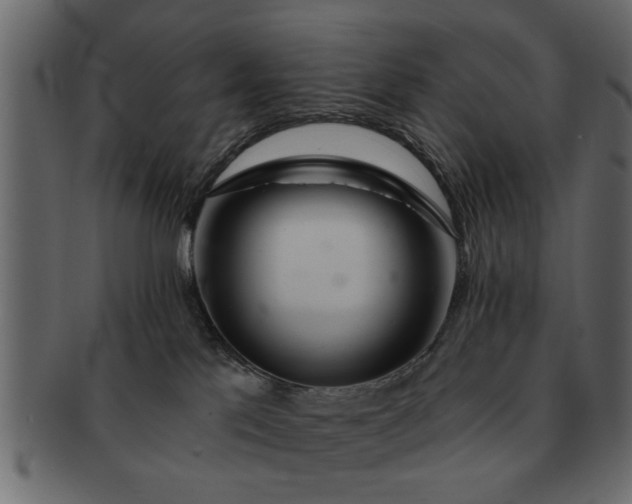 X0000091720041200709071446