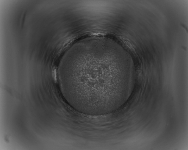 X0000091720042200709071446