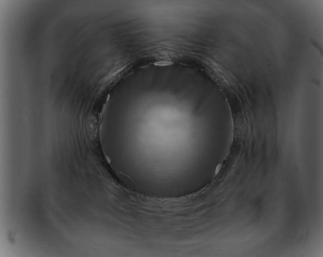 X0000091720043200709071446