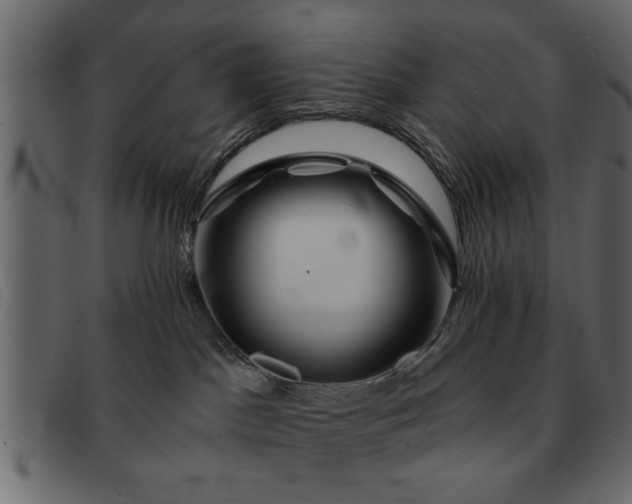 X0000091720045200709071446