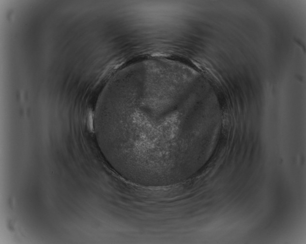 X0000091720046200709071446