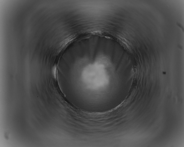 X0000091720047200709071446