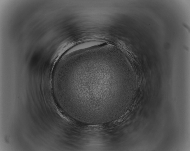 X0000091720050200709071445