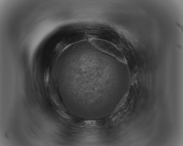 X0000091720052200709071445