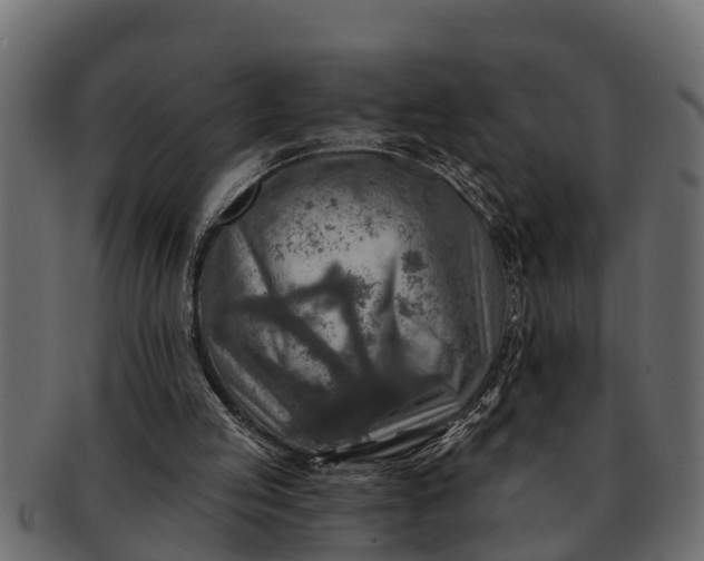 X0000091720053200709071445