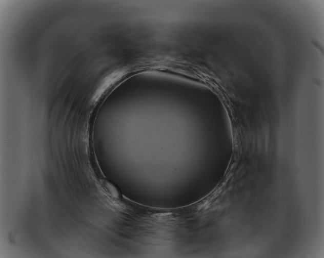 X0000091720054200709071445