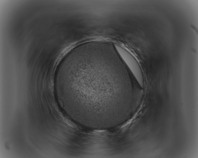 X0000091720055200709071445