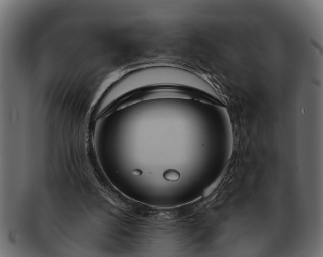 X0000091720056200709071445