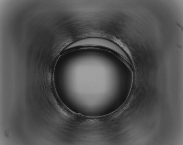 X0000091720057200709071445