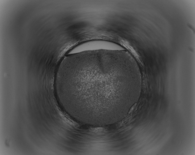 X0000091720058200709071445