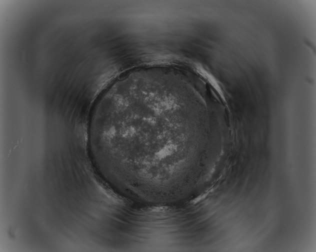 X0000091720059200709071445