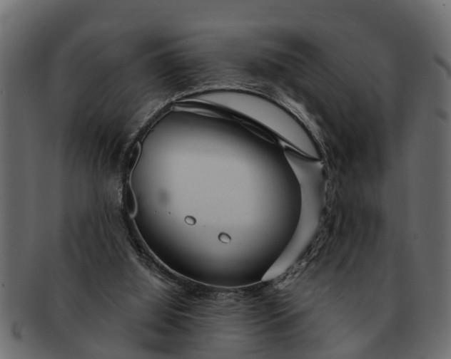 X0000091720060200709071445