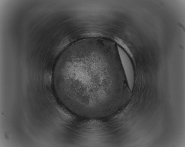 X0000091720063200709071445