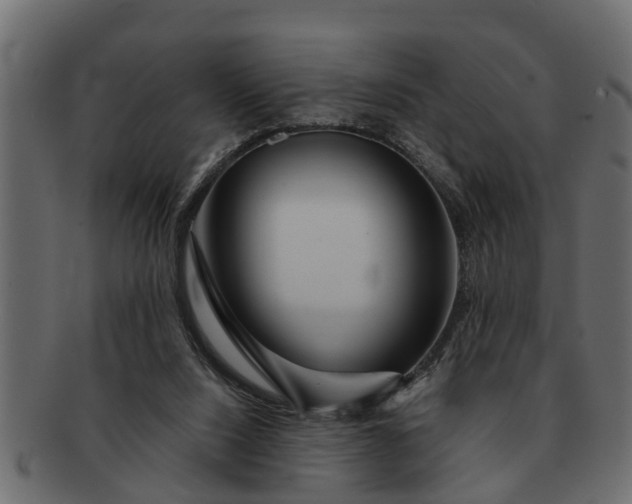 X0000091720064200709071445