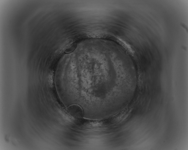 X0000091720065200709071445