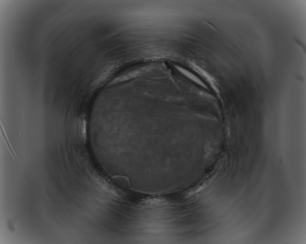 X0000091720067200709071445