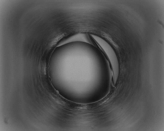 X0000091720068200709071445