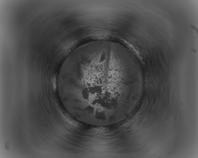 X0000091720069200709071445