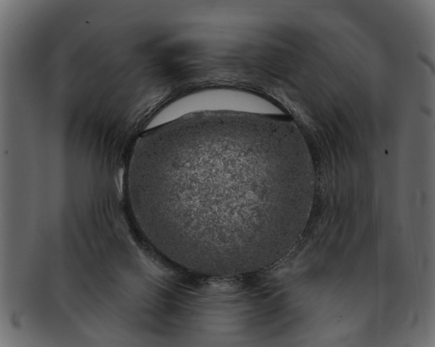 X0000091720070200709071445