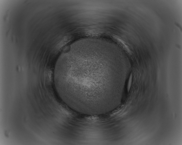 X0000091720071200709071445