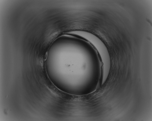 X0000091720072200709071445