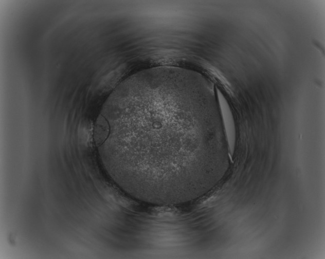 X0000091720073200709071445