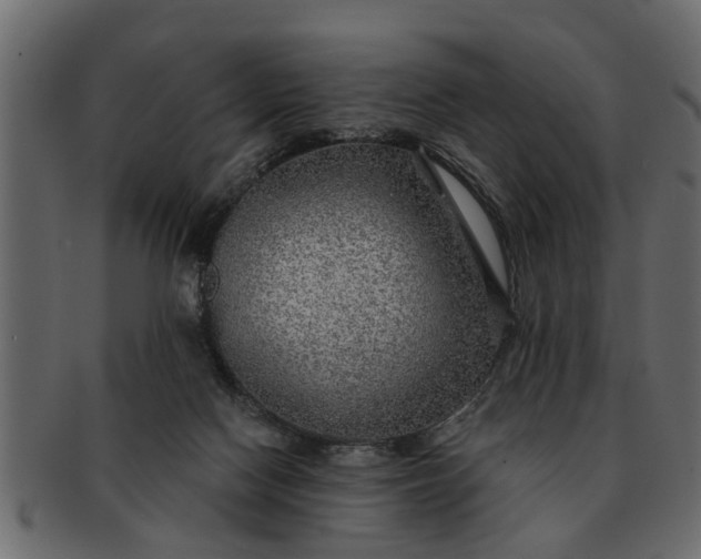 X0000091720074200709071445