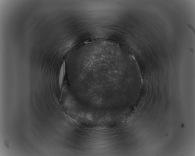 X0000091720076200709071445