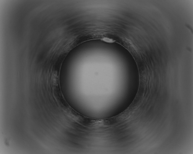 X0000091720083200709071445