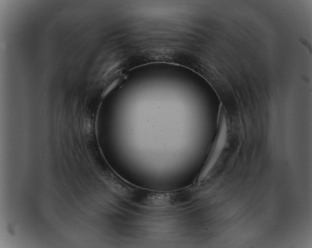 X0000091720084200709071445