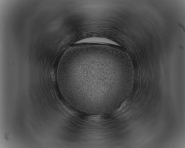 X0000091720086200709071445