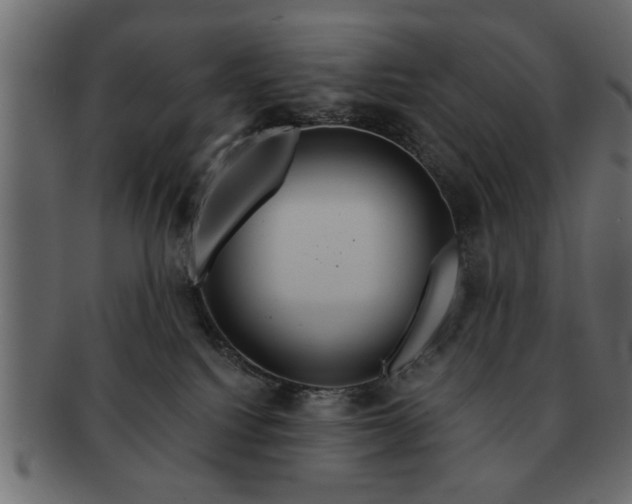 X0000091720088200709071445