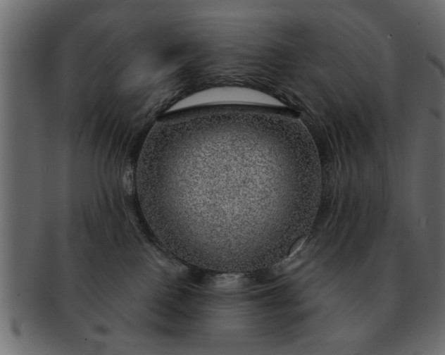 X0000091720090200709071446